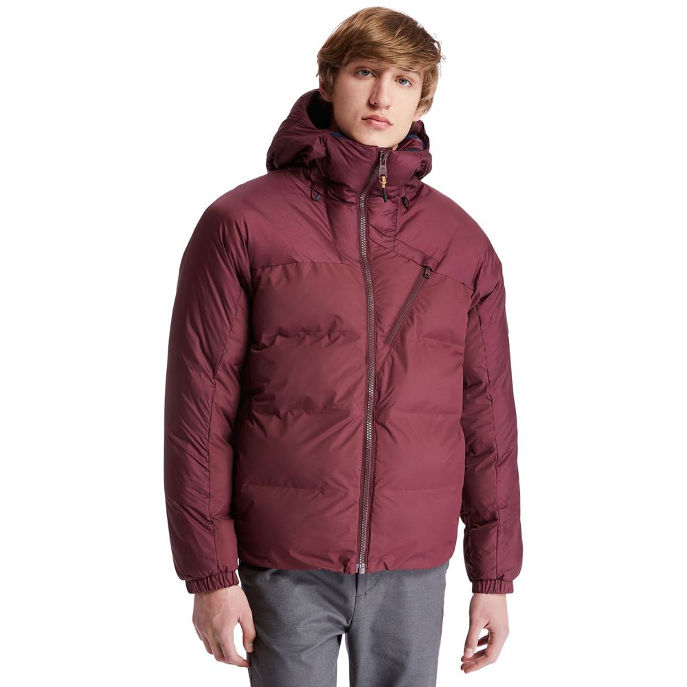 Geaca Timberland Barbati Visinii - Neo Summit Hooded Iarna - Romania - GOURIP974